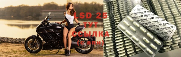 каннабис Аркадак