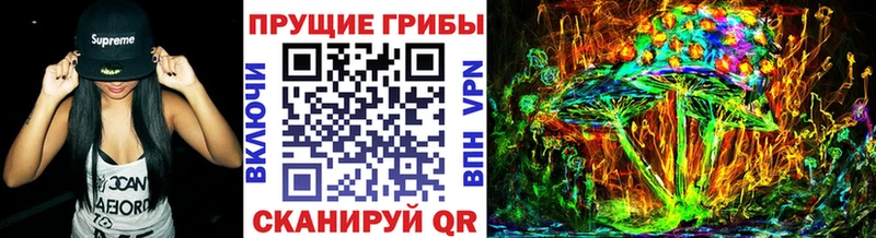 Псилоцибиновые грибы MAGIC MUSHROOMS Кологрив
